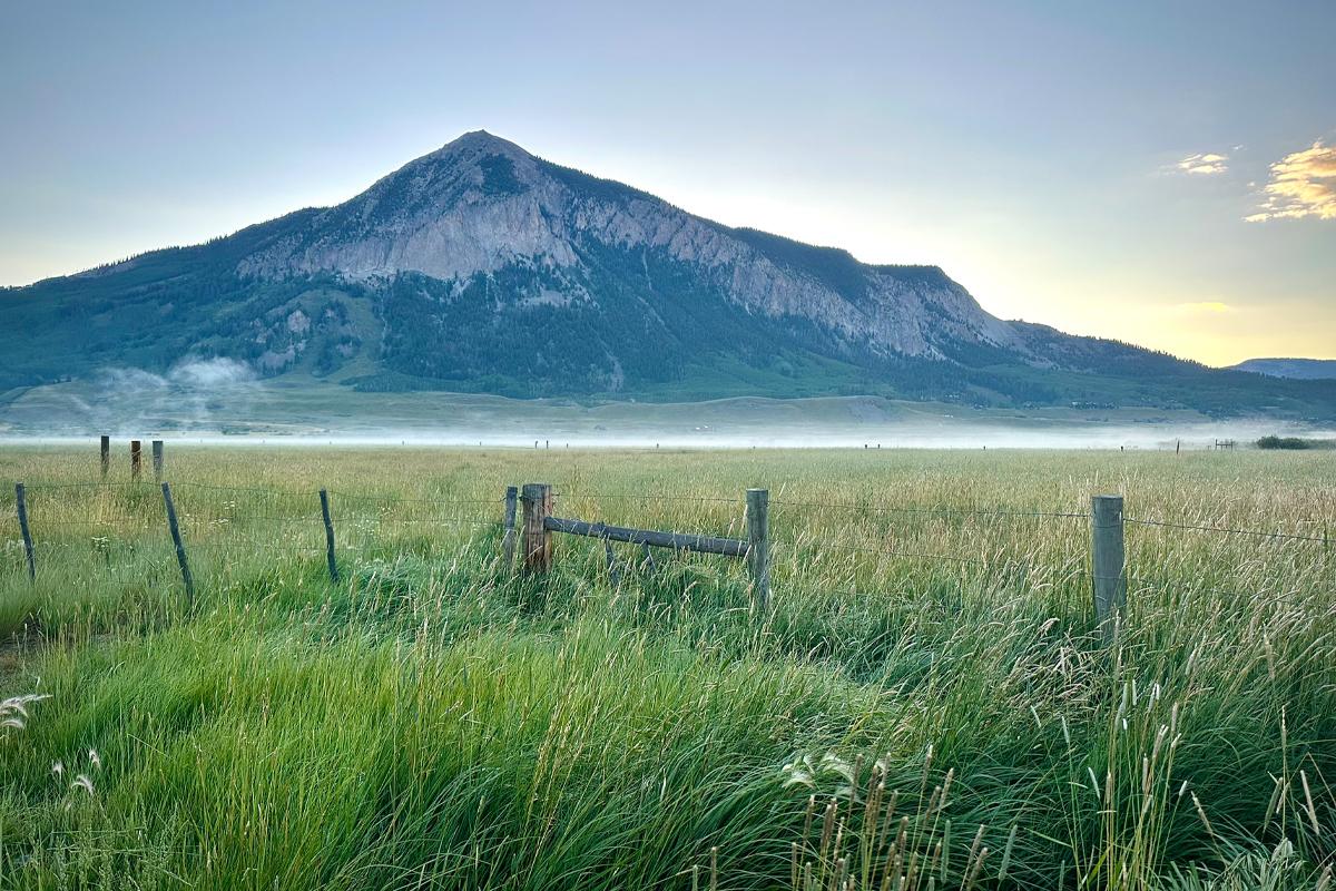 Scenic photo of Mt. Crested Butte in the distance and a field with tall grass in the foreground.