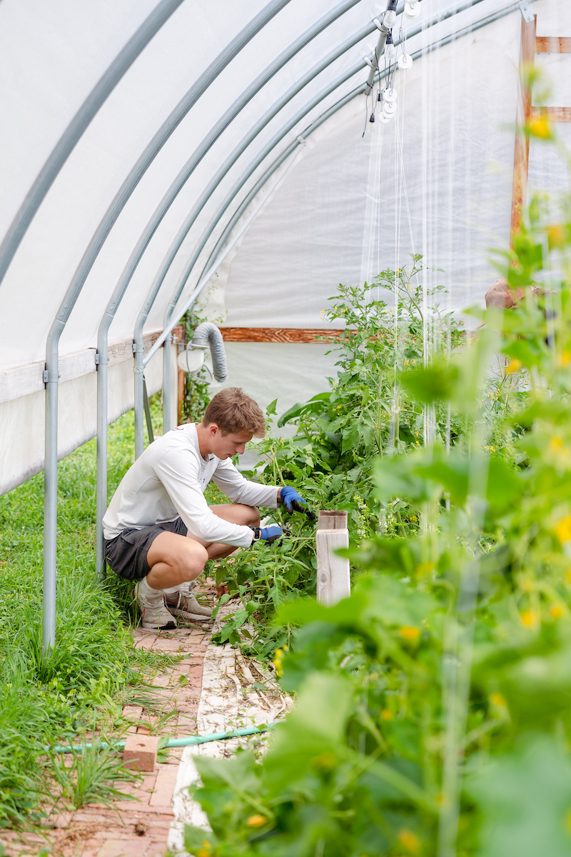 Mountaineer Gives Day